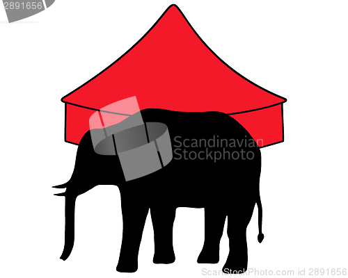 Image of Elephants in circus