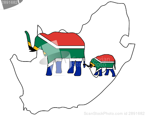 Image of South African elephants