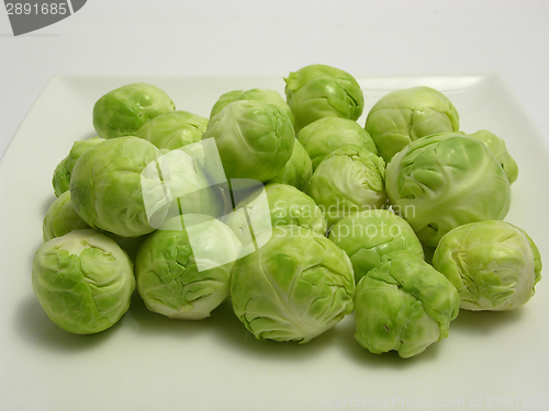 Image of Brussels sprouts arranged on a white plate 