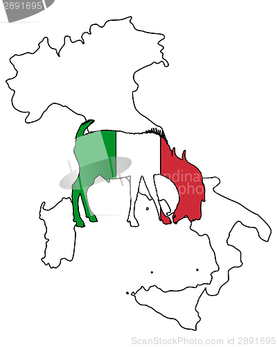 Image of Italian he-goat