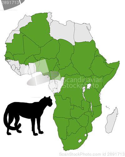 Image of Cheetah distribution Africa