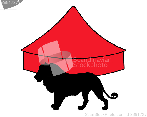 Image of Lion in circus 