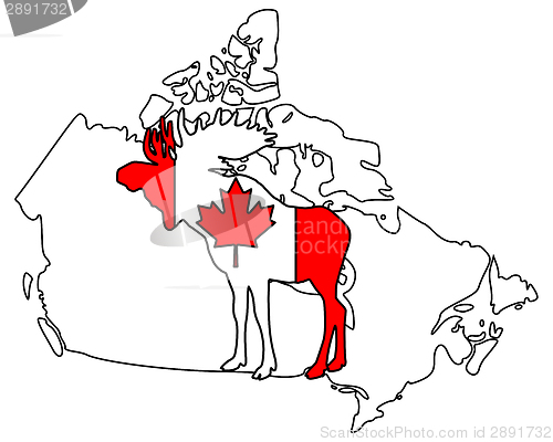 Image of Canadian moose