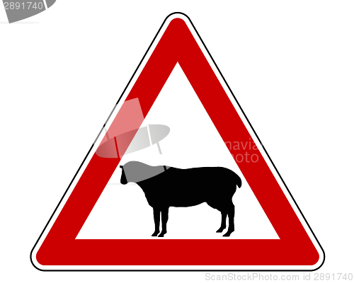 Image of Sheep warning sign