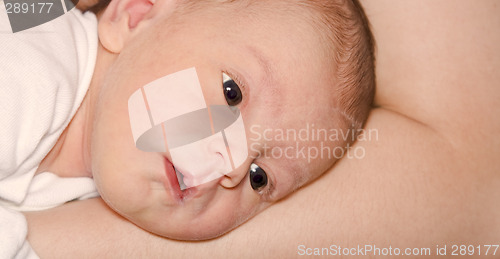 Image of Baby portrait