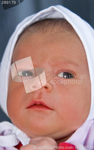 Image of Baby girl portrait