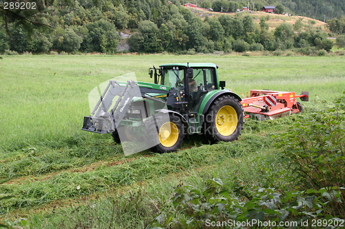 Image of Harvesting