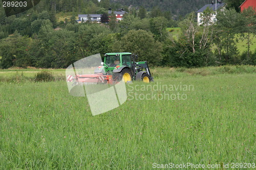 Image of Harvesting grass