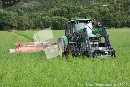 Image of Harvesting grass