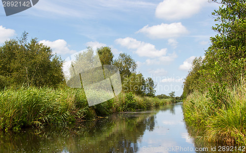 Image of Typical view of a the swamp in National Park Weerribben 