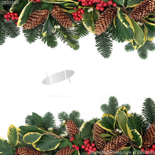 Image of Natural Winter flora
