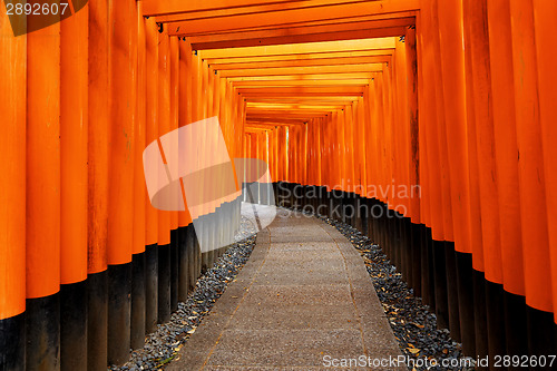 Image of Fushimi Inari Taisha Shrine in Kyoto City, Japan