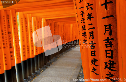 Image of Fushimi Inari Taisha Shrine in Kyoto City, Japan