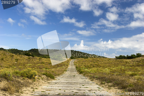 Image of Wood path