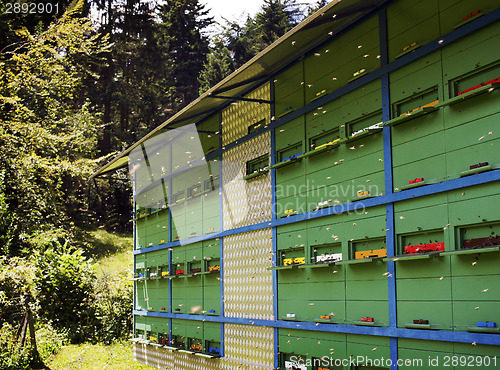 Image of apiary 