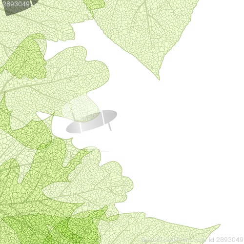 Image of Leaf skeletons autumn tenplate. EPS 10