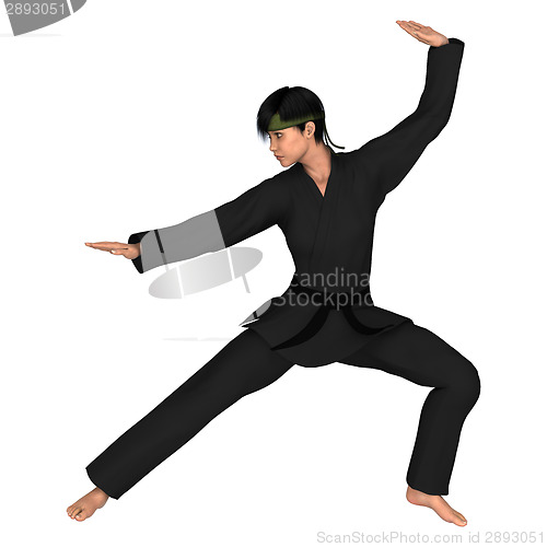 Image of Martial Arts