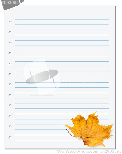 Image of Notebook paper with autumn dry maple leaf on white