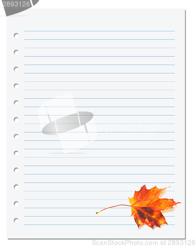 Image of Notebook paper with autumn orange maple leaf on white