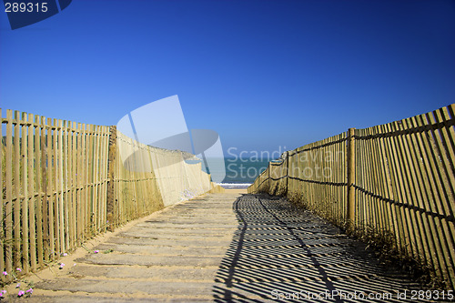 Image of Path to the Beach
