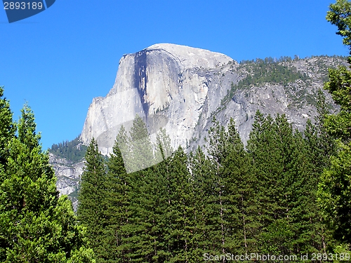 Image of Yosemite Half Dome