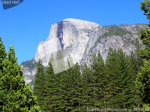 Image of Yosemite Half Dome