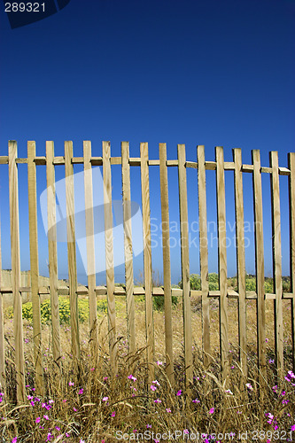 Image of Fences in blue