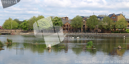 Image of Surrey Water, London