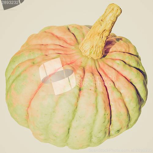 Image of Retro look Pumpkin