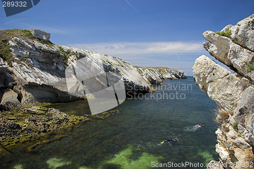 Image of Beautiful beach