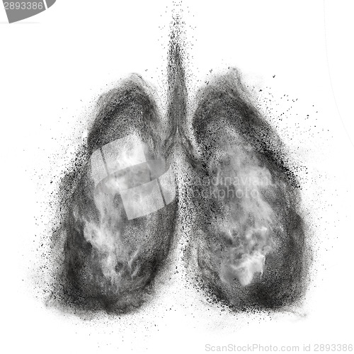 Image of Lungs made of black powder explosion isolated on white