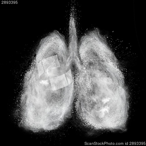 Image of Lungs made of white powder explosion isolated on black