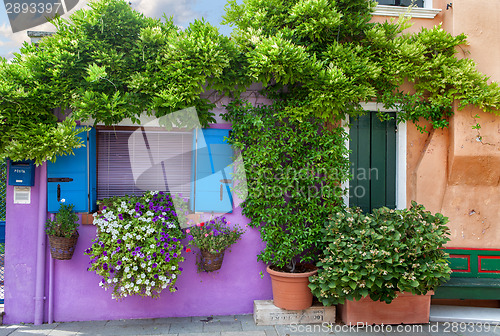 Image of Color house on Burano island near Venice , Italy