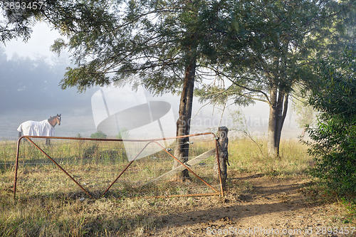 Image of Misty morning countryside