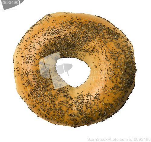 Image of Poppy Seed Bagel Against White