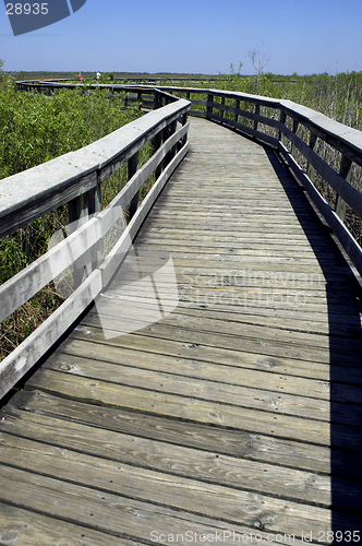 Image of Wooden walkway anhinga trail everglades state national park florida usa