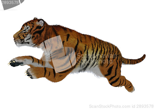 Image of Jumping Tiger on White