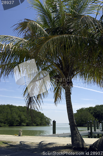 Image of View to florida bay from flamingo visitor center everglades state national park usa