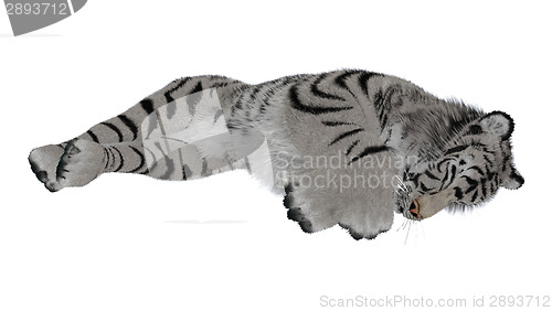 Image of Sleeping Tiger