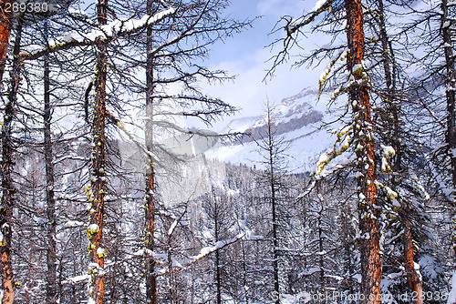 Image of Mountain landscape