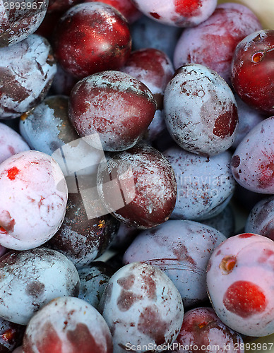 Image of Plum closeup as background