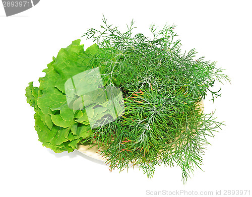 Image of Plate with lettuce and dill isolated