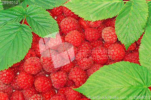Image of Raspberries decorated with green leaf as background    