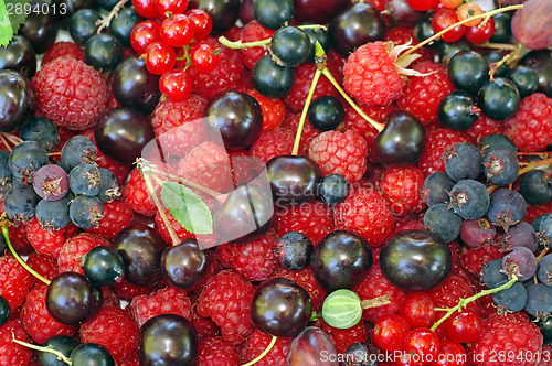 Image of Assorted berries (raspberries, black and red currants, Saskatoon