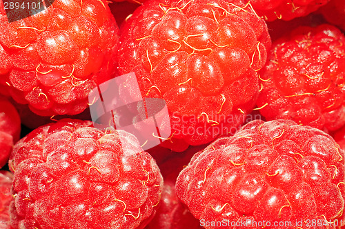 Image of Raspberries very close up as background