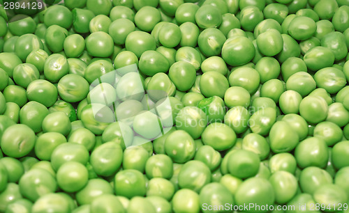 Image of Pea green peas closeup as a background