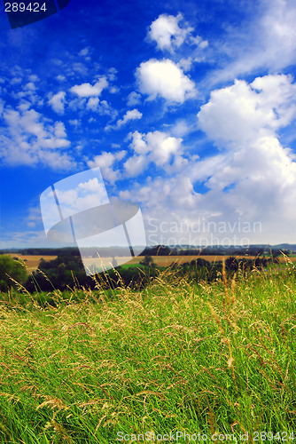 Image of Summer landscape