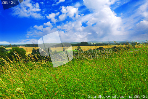 Image of Summer landscape