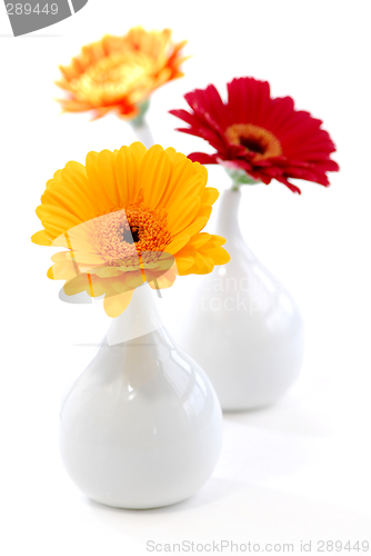 Image of Interior design vases