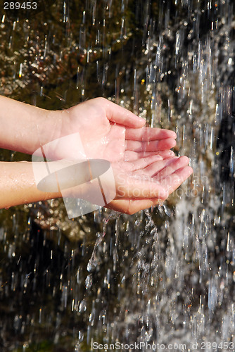 Image of Water in hands
